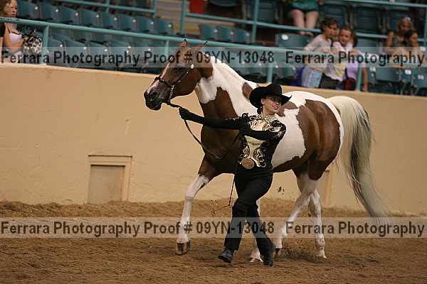 Proof 09yn-13048
