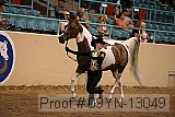 09yn-13049 proof
