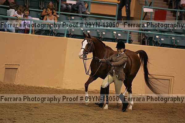 Proof 09yn-13050