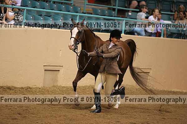 Proof 09yn-13051