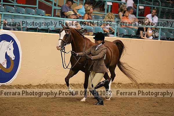 Proof 09yn-13052