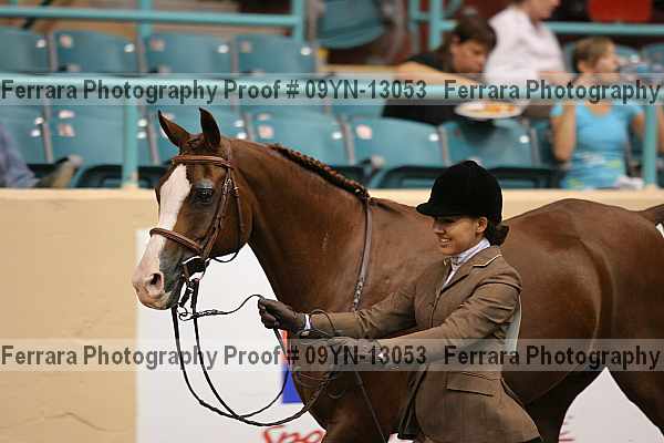 Proof 09yn-13053