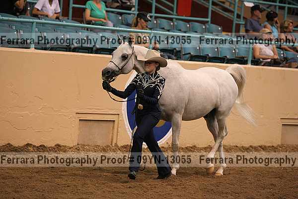 Proof 09yn-13055