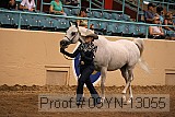 09yn-13055 proof