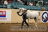 09yn-13056 proof