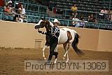 09yn-13069 proof