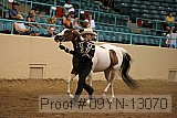 09yn-13070 proof