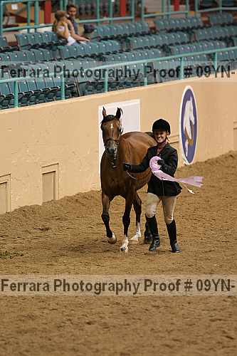 Proof 09yn-13073