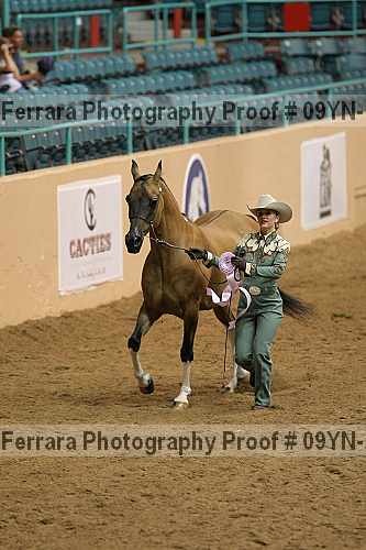 Proof 09yn-13074