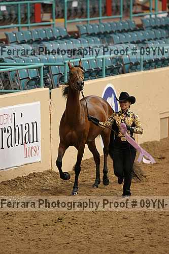Proof 09yn-13075