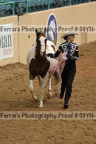 Proof 09yn-13076