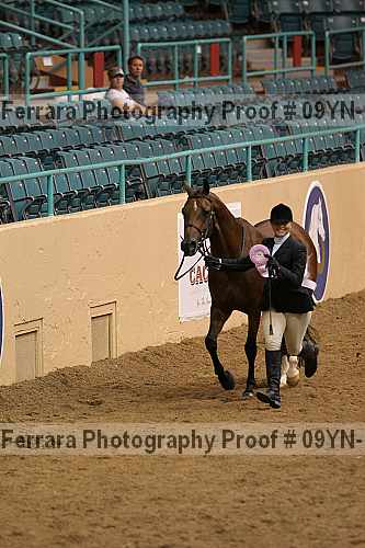 Proof 09yn-13077