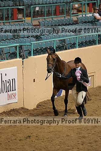 Proof 09yn-13078