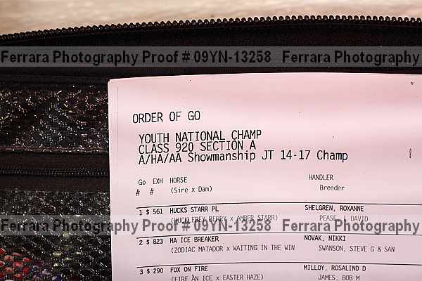Proof 09yn-13258