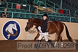 09yn-13259 proof