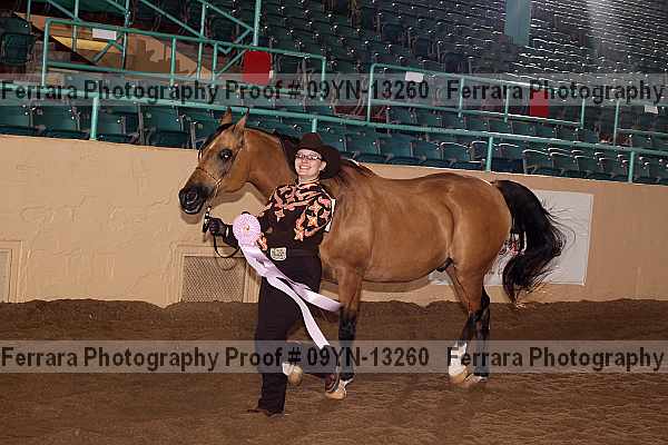 Proof 09yn-13260