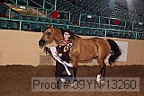 09yn-13260 proof