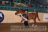 09yn-13261 proof