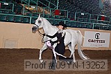 09yn-13262 proof