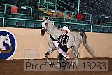 09yn-13263 proof