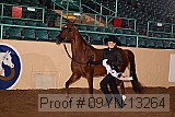 09yn-13264 proof