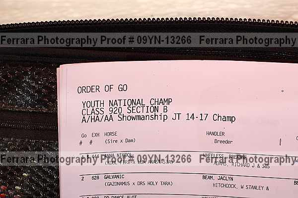 Proof 09yn-13266