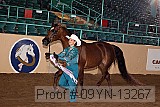 09yn-13267 proof