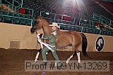 09yn-13269 proof