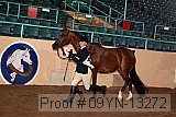 09yn-13272 proof