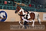 09yn-13273 proof