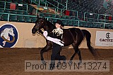 09yn-13274 proof