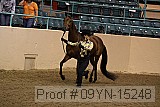 09yn-15248 proof