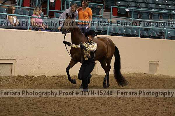 Proof 09yn-15249