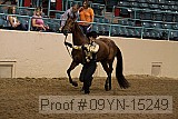 09yn-15249 proof