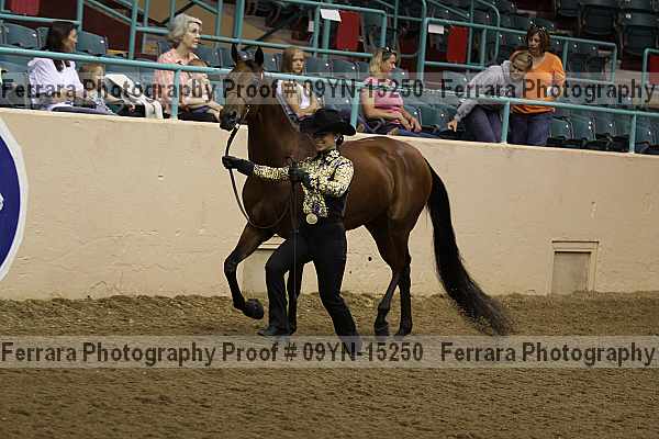 Proof 09yn-15250