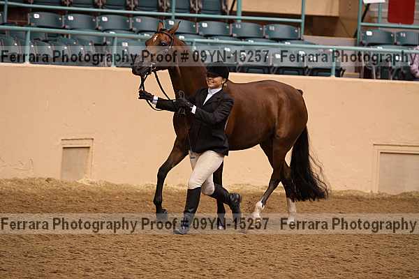 Proof 09yn-15257