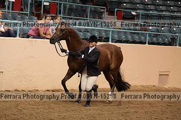 Proof 09yn-15258
