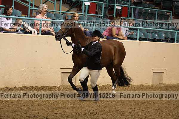 Proof 09yn-15259