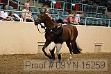 09yn-15259 proof