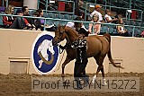 09yn-15272 proof