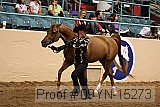 09yn-15273 proof