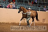 09yn-15274 proof