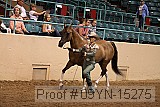 09yn-15275 proof