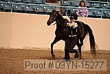 09yn-15277 proof