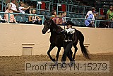 09yn-15279 proof