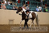 09yn-15282 proof