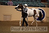 09yn-15284 proof