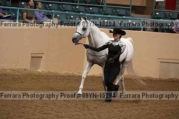 Proof 09yn-15294