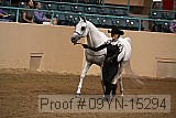 09yn-15294 proof