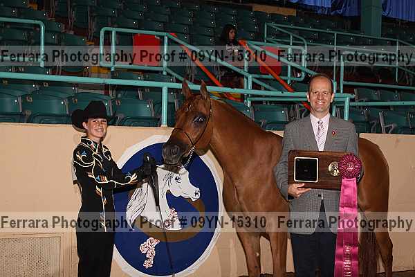 Proof 09yn-15310